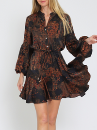 Long Sleeve Button Down Mini Dress