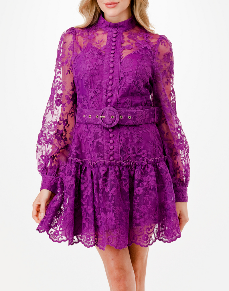 Long Sleeve Floral Embroidery Detail Short Dress