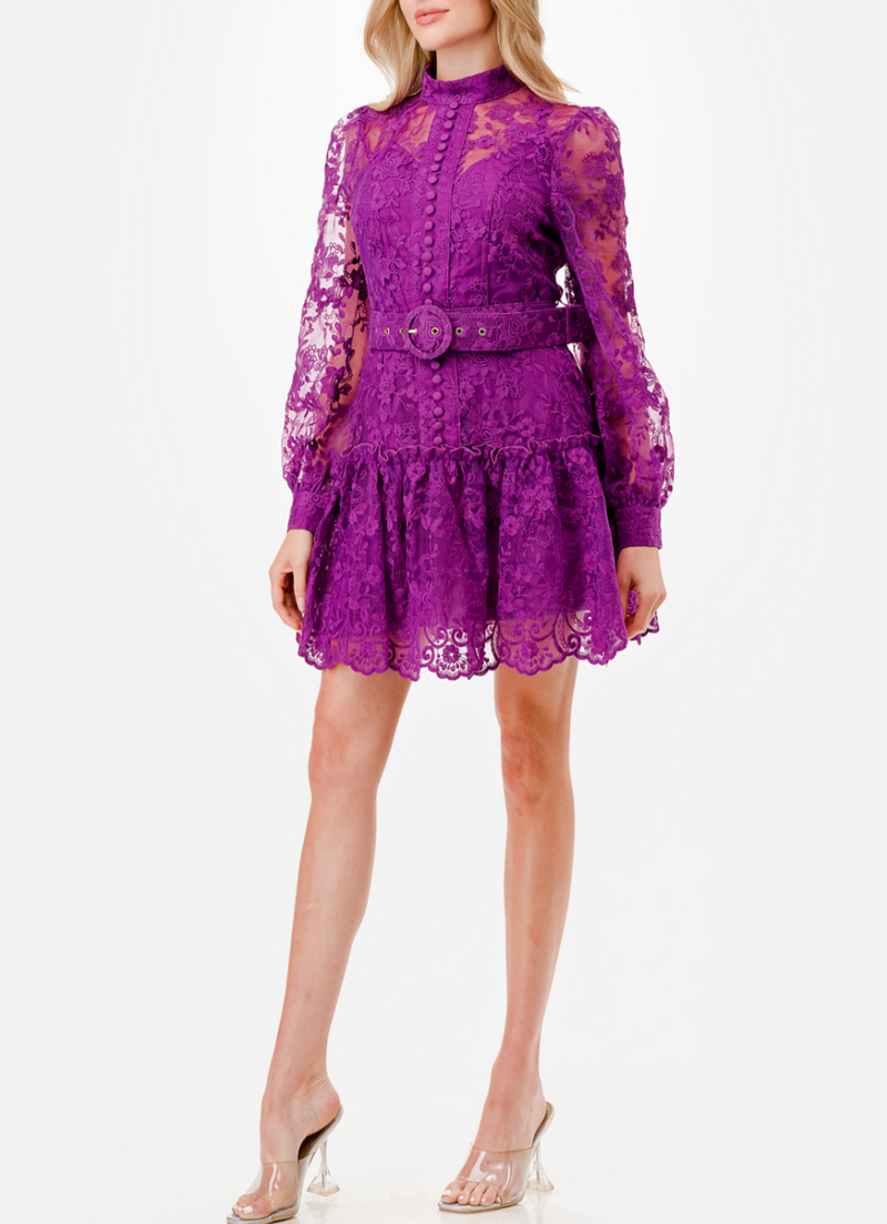 Long Sleeve Floral Embroidery Detail Short Dress