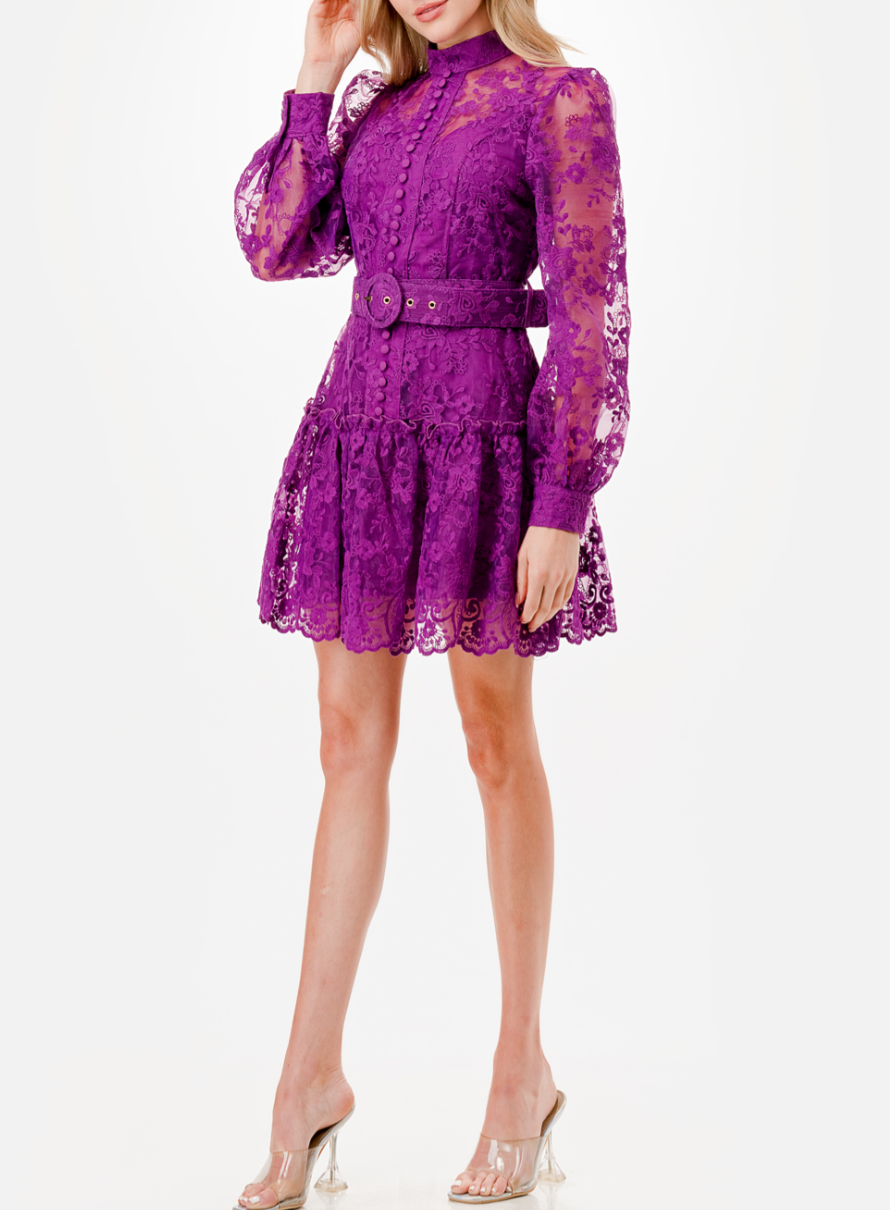 Long Sleeve Floral Embroidery Detail Short Dress