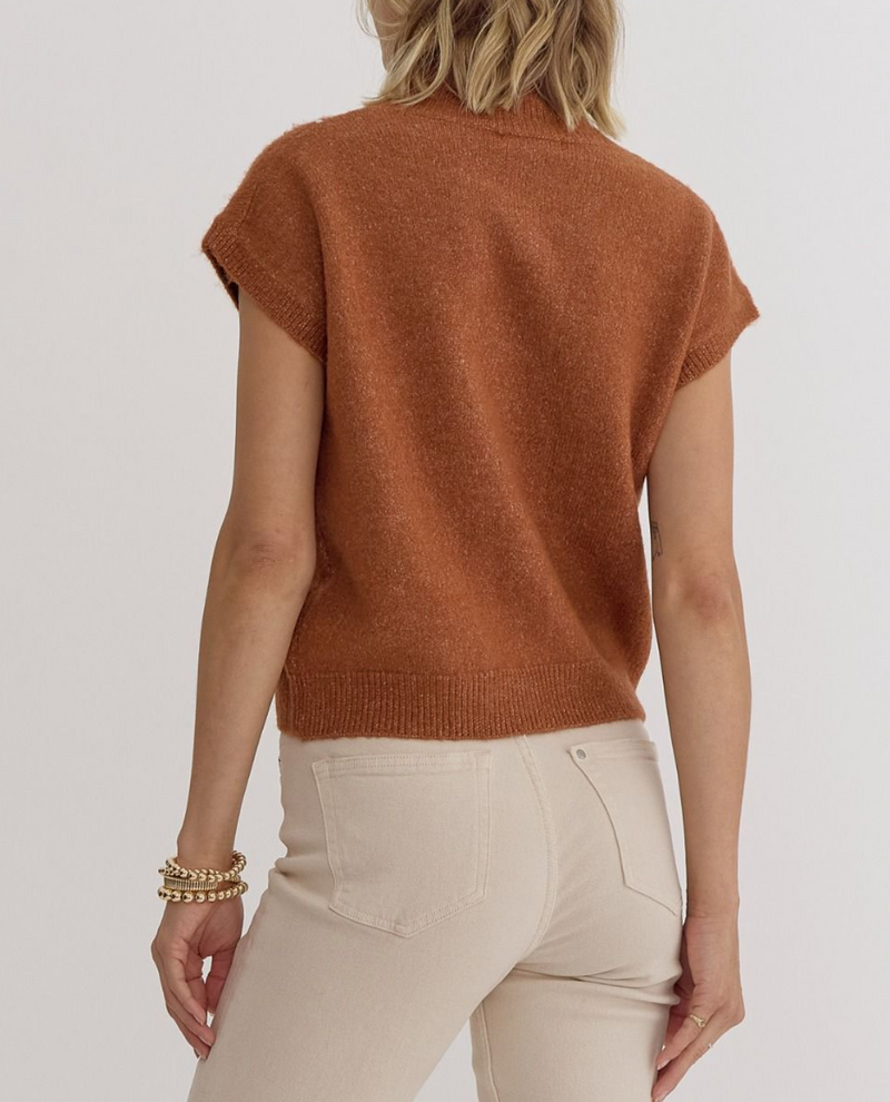 Solid High Neck Short Sleeve Knitted Top