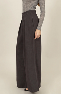 Elegance Wide Leg Pleated Pants