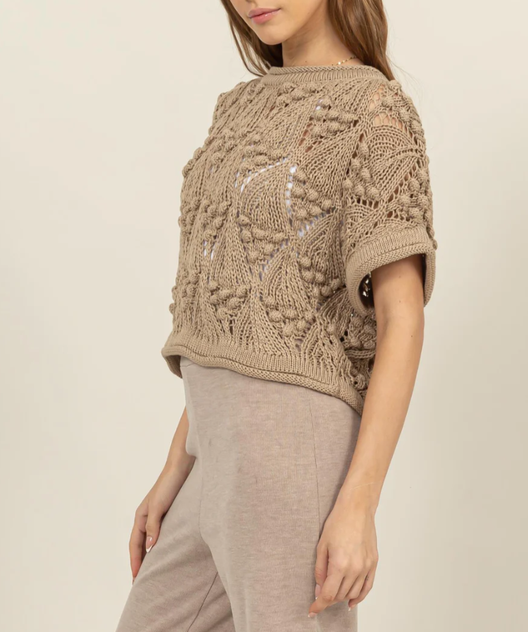 Crochet Knit Short Sleeve Sweater Top