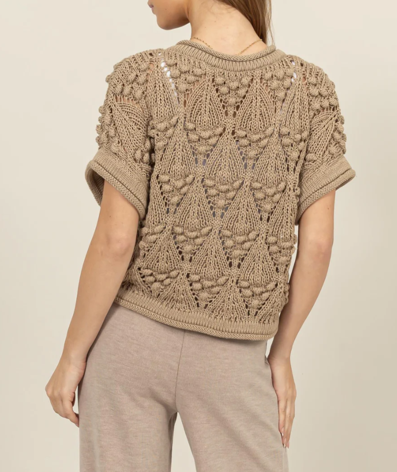 Crochet Knit Short Sleeve Sweater Top