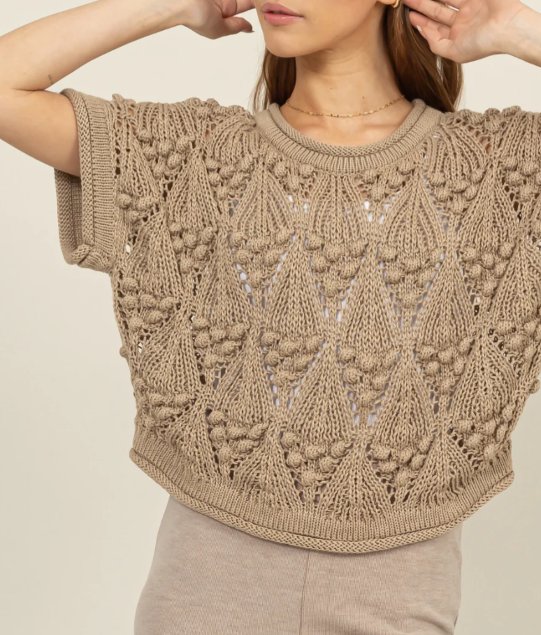 Crochet Knit Short Sleeve Sweater Top