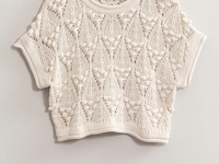 Crochet Knit Short Sleeve Sweater Top