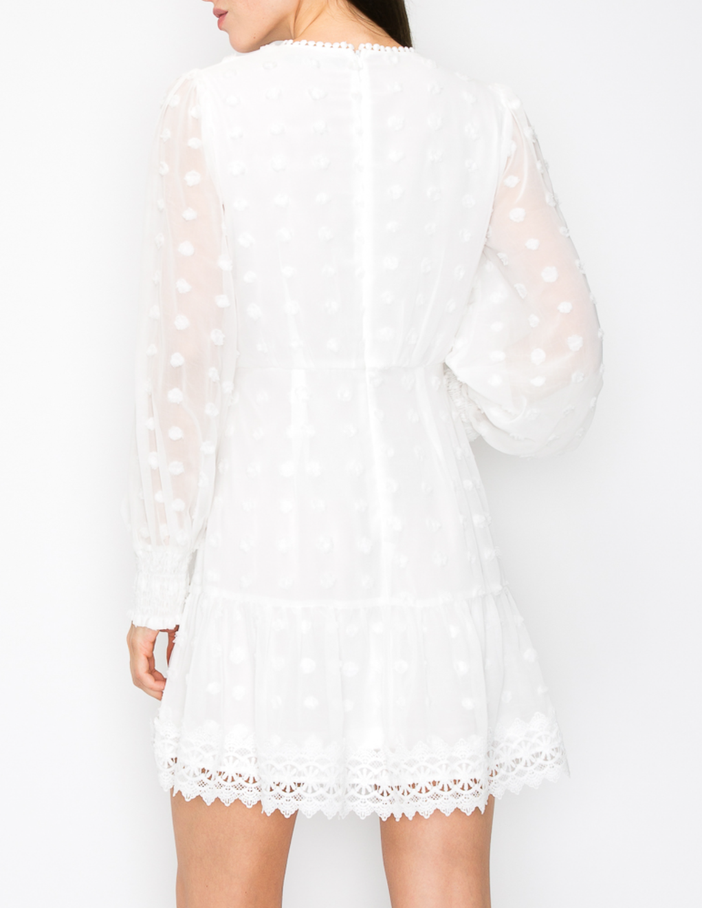 Embroidered Polka Dots Long Puff Sleeve Mini Dress