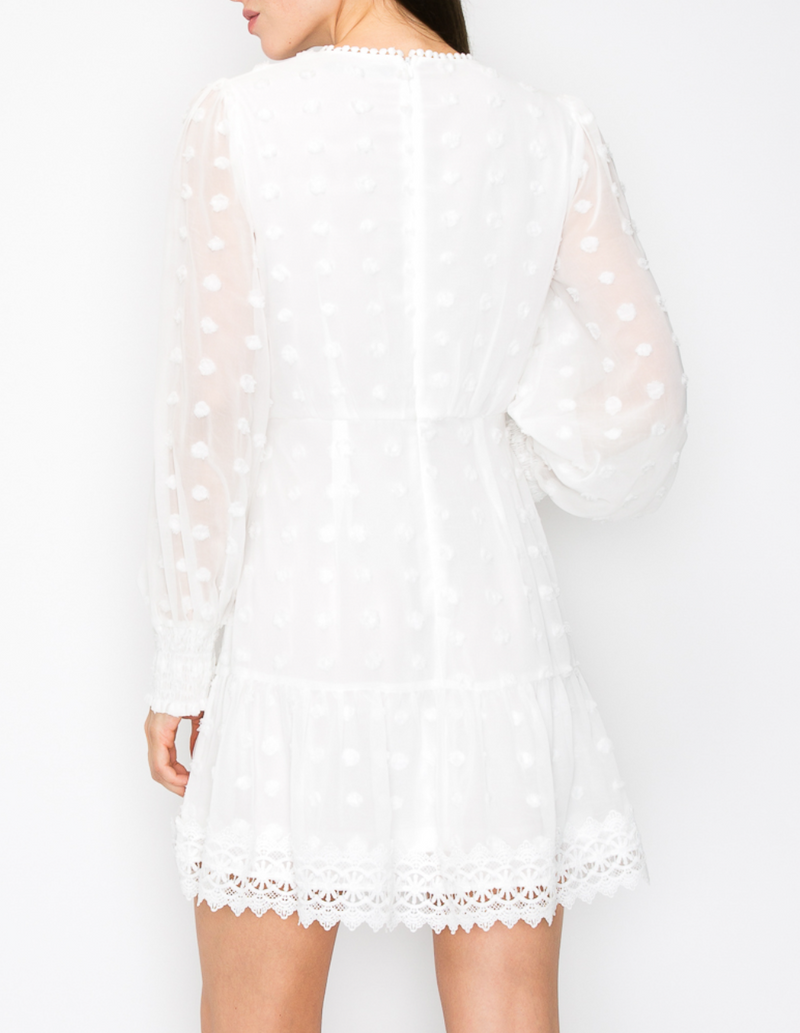 Embroidered Polka Dots Long Puff Sleeve Mini Dress